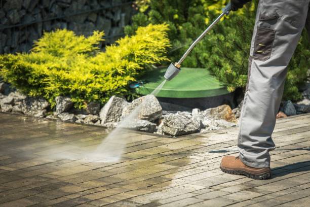 Best Winterizing Services  in East Palo Alto, CA